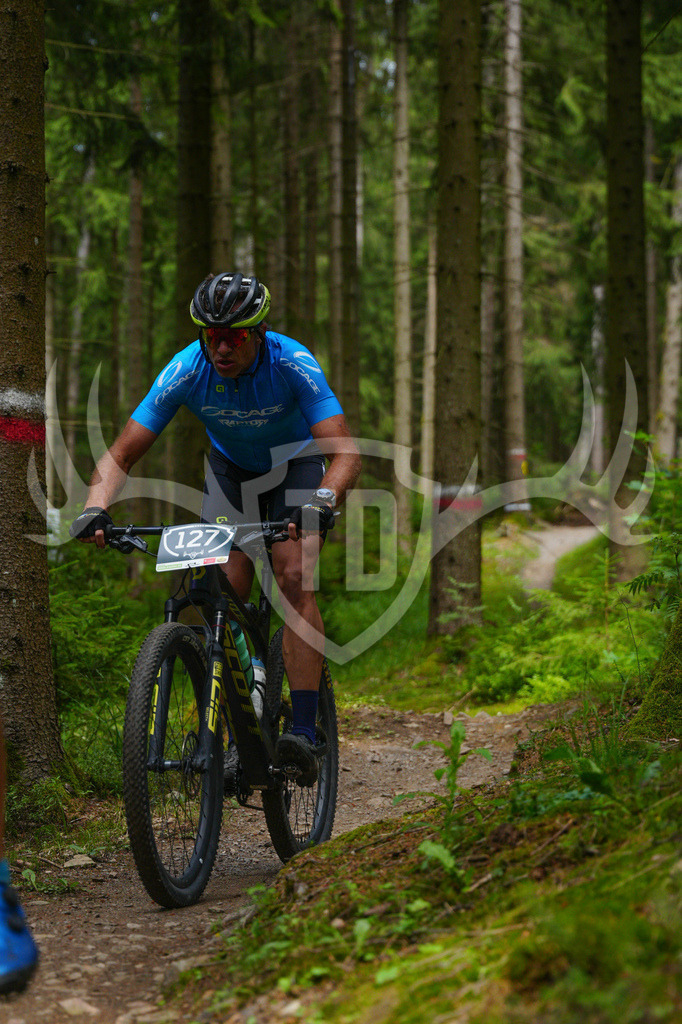 FC603546 | Fotogalerie der Treibjagd im Dunkelwald - Dein MTB Etappenrennen im Erzgebirge - Realisiert mit Pictrs.com