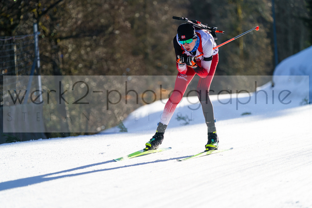 FESA Alpencup / DP Notschrei | Deutschland Pokal Finale im Schwarzwald NORDIC-CENTER Notschrei am 7. - 8. Februar 2026