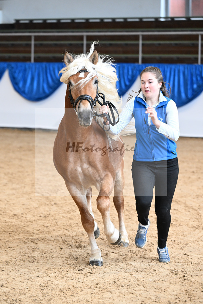 Kat-Nr. 20 nn v. Nakuri_Linder_48250991 | hf-fotografie - Realisiert mit Pictrs.com