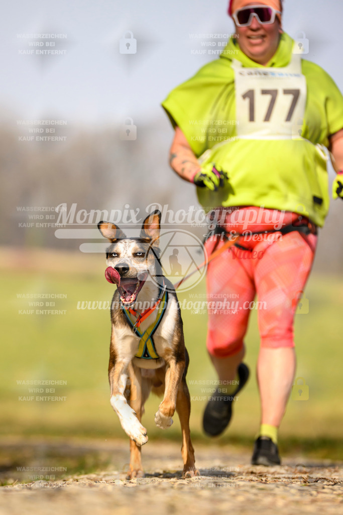 MompixPhotography_6ReiatRennen2026_SA_HappyDog-41 | PayLife
