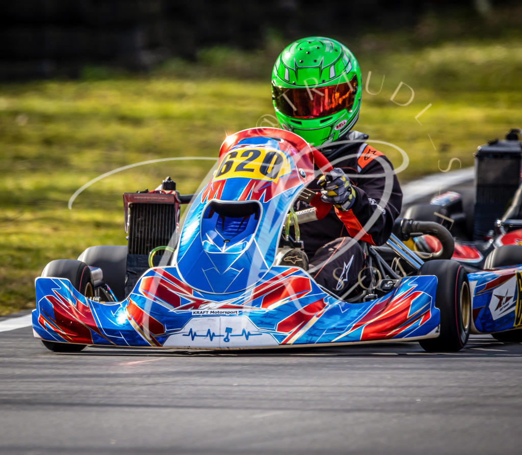 83A0E0D9-E59B-4269-9A26-99FB1417E32D | traudl_s_fotos