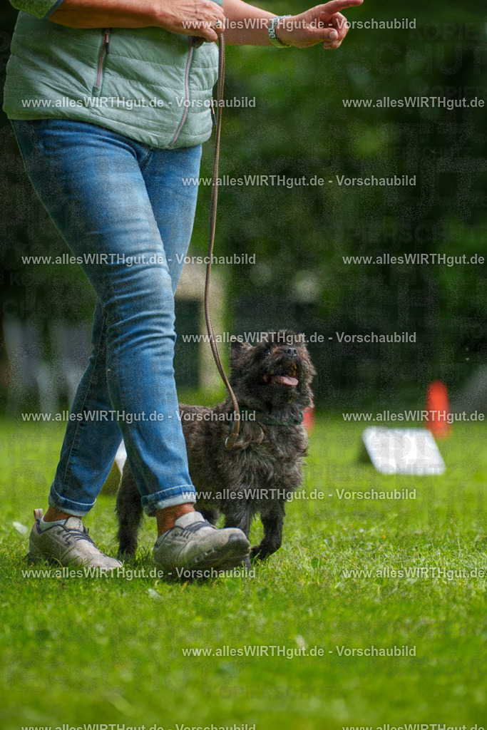 @allesWIRTHgut_Tierfotografie - www.allesWIRTHgut.de - 7R504490 | Professionelle Tierfotografie in Mönchengladbach von Daniel Wirth (allesWIRTHgut). Liebevolle & natürliche Bilder von Hunden & Katzen für unvergessliche Erinnerungen.