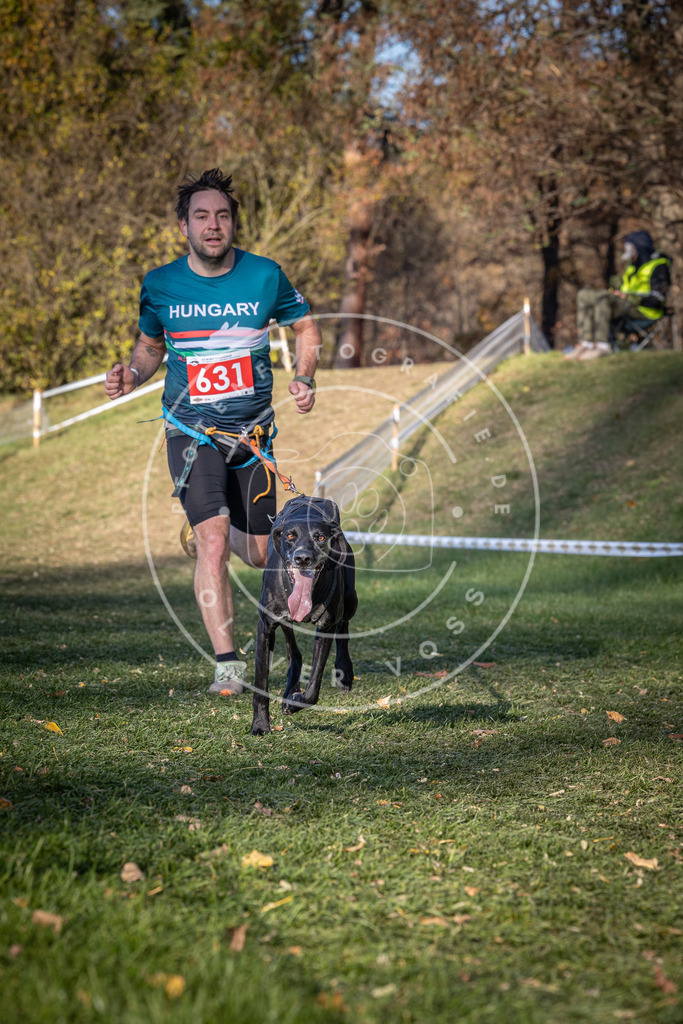 CaniXpix_0L8A8930 | Hundefotografie, Tierfotograf, Pfotenfotografie, Fotoshooting Hund, Hunde Portrait, Hundesport, Hundeportraits, Heideshooting, Hunde, Sportfotograf, Hundefotograf, Turnierhundsport, THS,  - Realisiert mit Pictrs.com