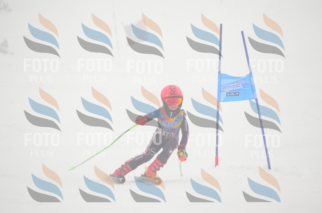 C1463 | holidayphoto