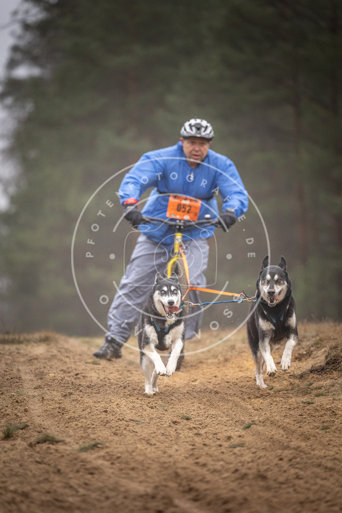 Pfotenfotografie_DV3A1258 | Hundefotografie, Tierfotograf, Pfotenfotografie, Fotoshooting Hund, Hunde Portrait, Hundesport, Hundeportraits, Heideshooting, Hunde, Sportfotograf, Hundefotograf, Turnierhundsport, THS,  - Realisiert mit Pictrs.com