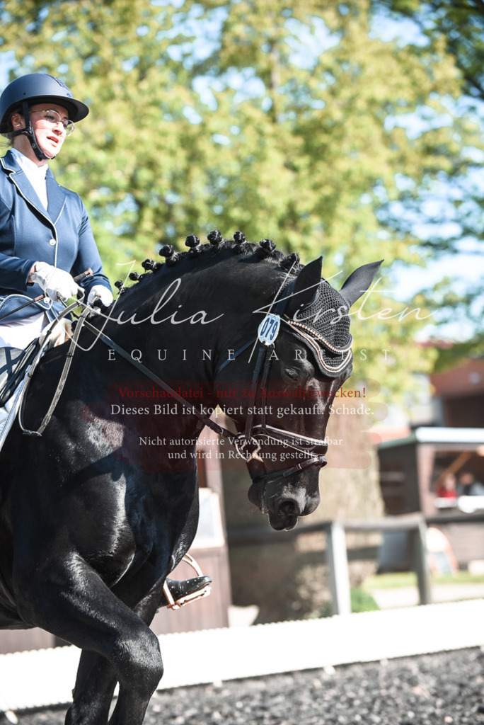 DSC_8506 | Pferde- und Turnierfotografie in Westsachsen. Pferdeportraits, Auftragszeichnungen und intuitive Kunst.