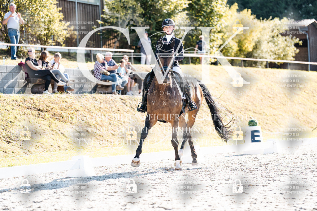 CK905917 | Turnierfotografie Pferdefotografie Trier Rheinland-Pfalz Pferdesport Reitsport Tierfotografie Sportfotografie Pferdevideo Pferdevideografie Equestrianvideography equestrianphotography  - Realisiert mit Pictrs.com