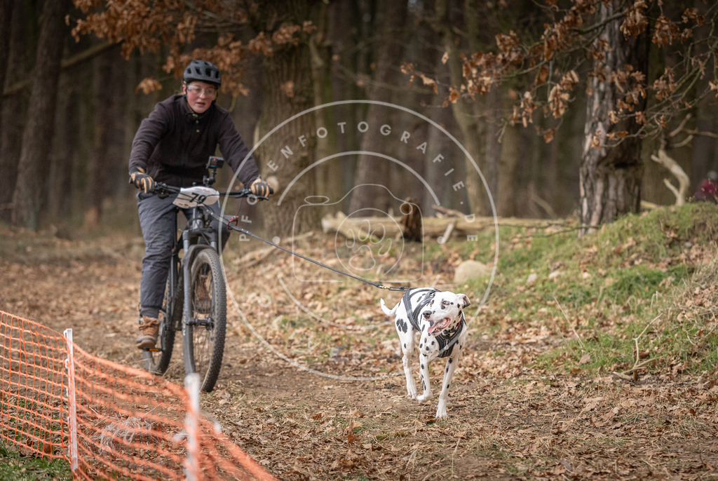 Pfotenfotografie_DV3A1949 | Hundefotografie, Tierfotograf, Pfotenfotografie, Fotoshooting Hund, Hunde Portrait, Hundesport, Hundeportraits, Heideshooting, Hunde, Sportfotograf, Hundefotograf, Turnierhundsport, THS,  - Realisiert mit Pictrs.com