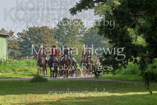 09-23 JAgd PerdölDSC02038_Marina Hewig | Fotografie, FotoArt, PferdesportArt, Pferdesportfotografie, Landschaftsfotografie, Reisefotografie, Reise, Pferde - Realisiert mit Pictrs.com