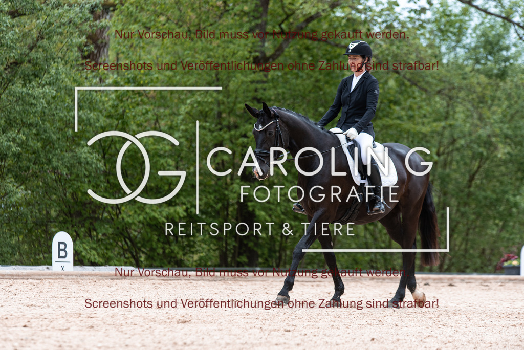 DSC_6836 | Turnierfotografin Carolin Gieschke,Reitsport Turnierfotografie Carolin G Fotografie | Turnierfotos aus Kirchheim/Teck, Esslingen, Stuttgart und dem Bodenseekreis