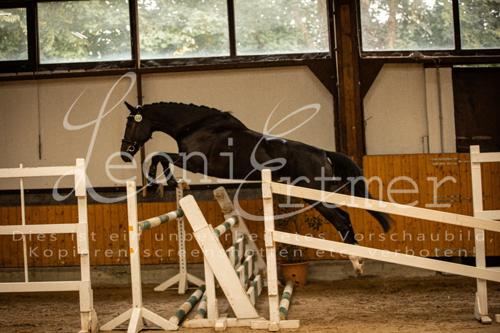 2FS_L00050 | Leoni Ertmer Photography - Realisiert mit Pictrs.com