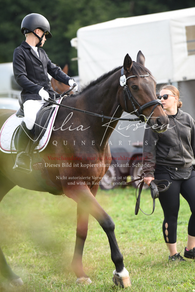 DSC_8609 | Pferde- und Turnierfotografie in Westsachsen. Pferdeportraits, Auftragszeichnungen und intuitive Kunst.