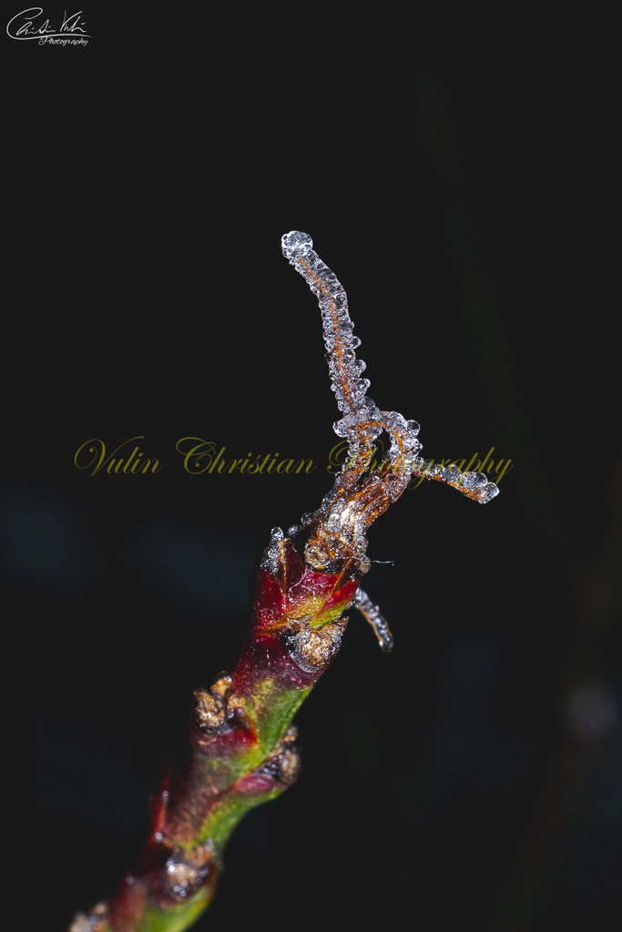 MN 36 | Christian Vulin  - Realisiert mit Pictrs.com