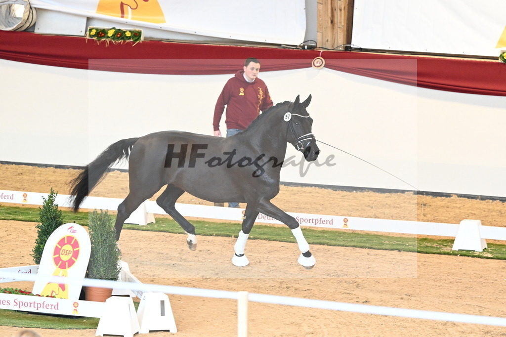 Kat.-Nr. 57 v. McLaren_Schulze Averdiek_2240663 | hf-fotografie - Realisiert mit Pictrs.com