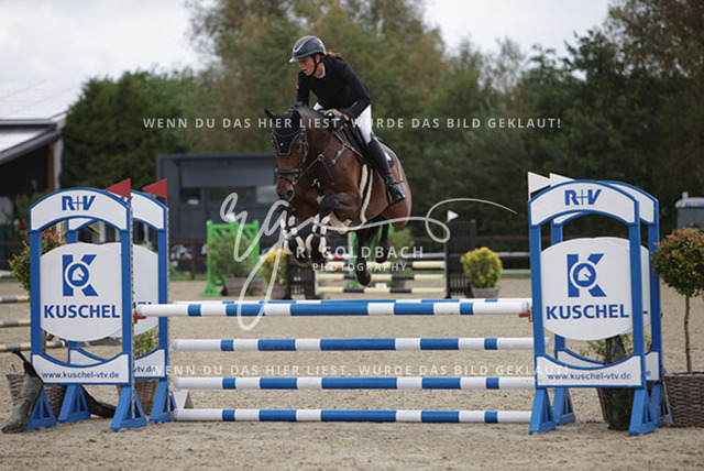 1J2A9110Sophie Kessel_ Unglaubliche_ Kn947_ Havekost | Foto- und Videografie für alles rund ums Pferd. Hochwertige Bilder und Videos vom Spring- und Dressurreiten, Voltigieren & mehr. Jetzt aktuelle Veranstaltungen und Preise im Shop ansehen. - Realisiert mit Pictrs.com