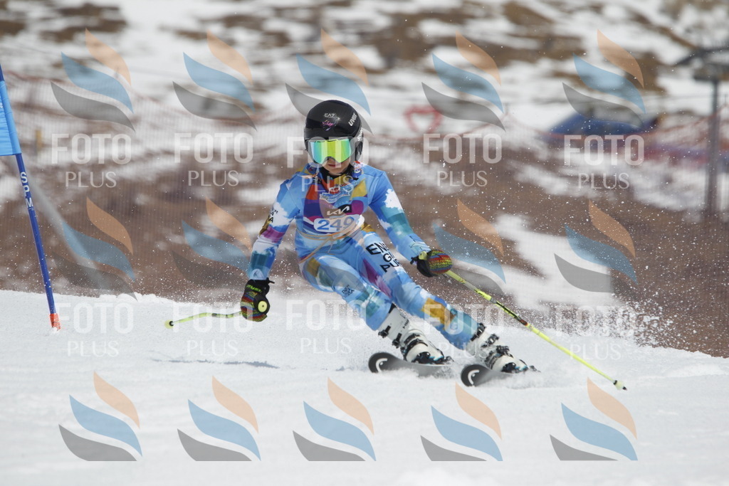 _U3G2861 | holidayphoto