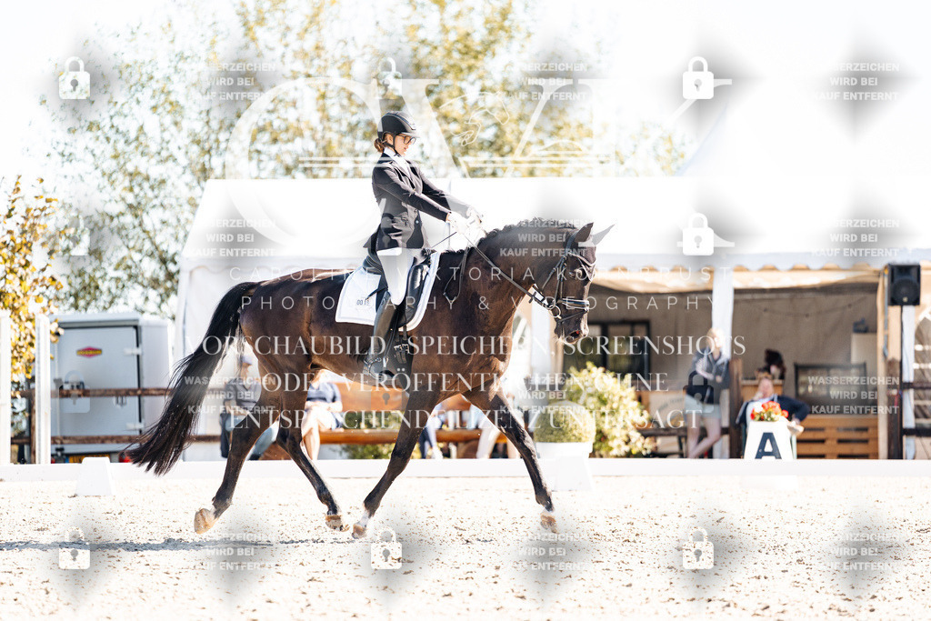 CK908957 | Turnierfotografie Pferdefotografie Trier Rheinland-Pfalz Pferdesport Reitsport Tierfotografie Sportfotografie Pferdevideo Pferdevideografie Equestrianvideography equestrianphotography  - Realisiert mit Pictrs.com