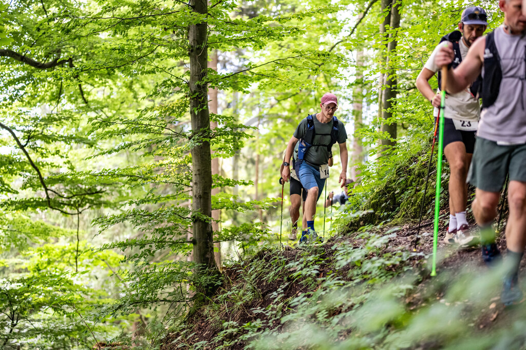36. Gebirgsmarathon | Immenstadt, 23.08.2025 - 36. Gebirgsmarathon im Naturpark Nagelfluhkette. Einer der anspruchsvollsten​und ältesten Bergläufe​Deutschlands.Foto: Dominik Berchtold/www.dberchtold.com