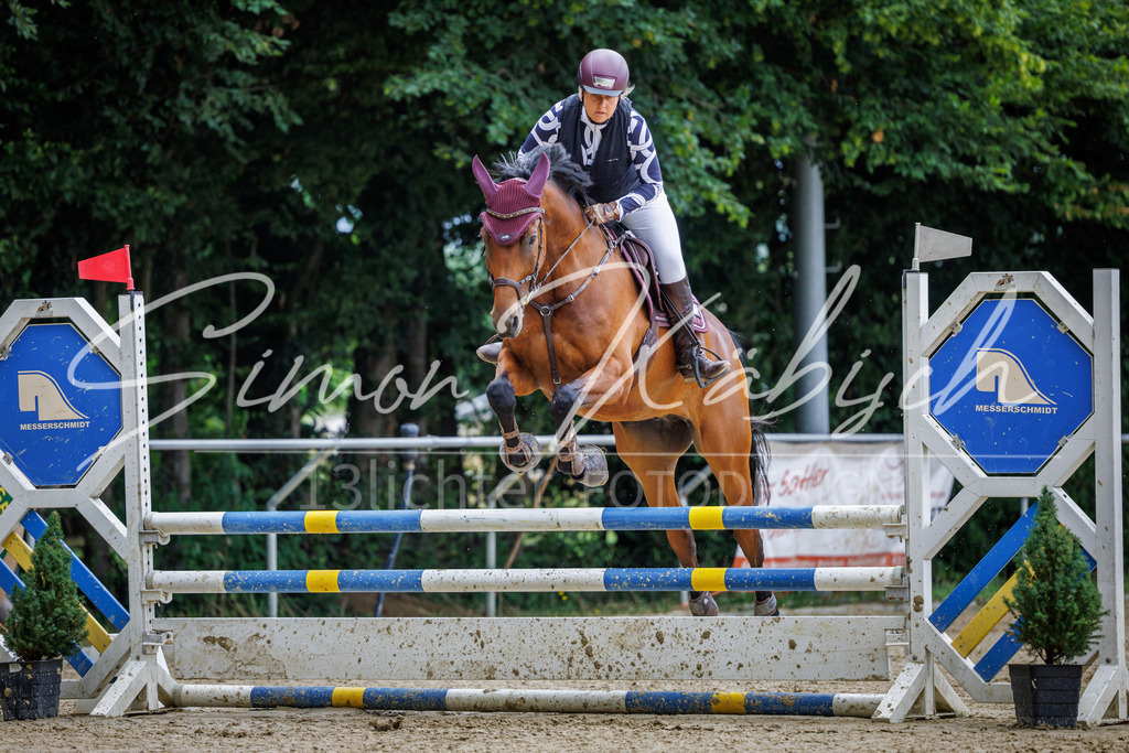 20260705-_3LI4910 | Tierfotografie Pferde, Hunde, Katzen, Haustiere.
Turnierfotografie Reitturniere, Reiten, Springreiten, Dressur in Hanau, dem Main-Kinzig-Kreis und dem Rhein-Main- Gebiet um Frankfurt