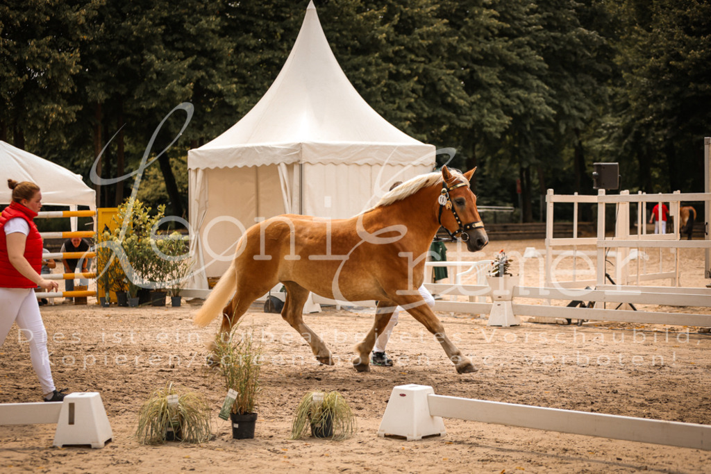 4.Sa00015 | Leoni Ertmer Photography - Realisiert mit Pictrs.com