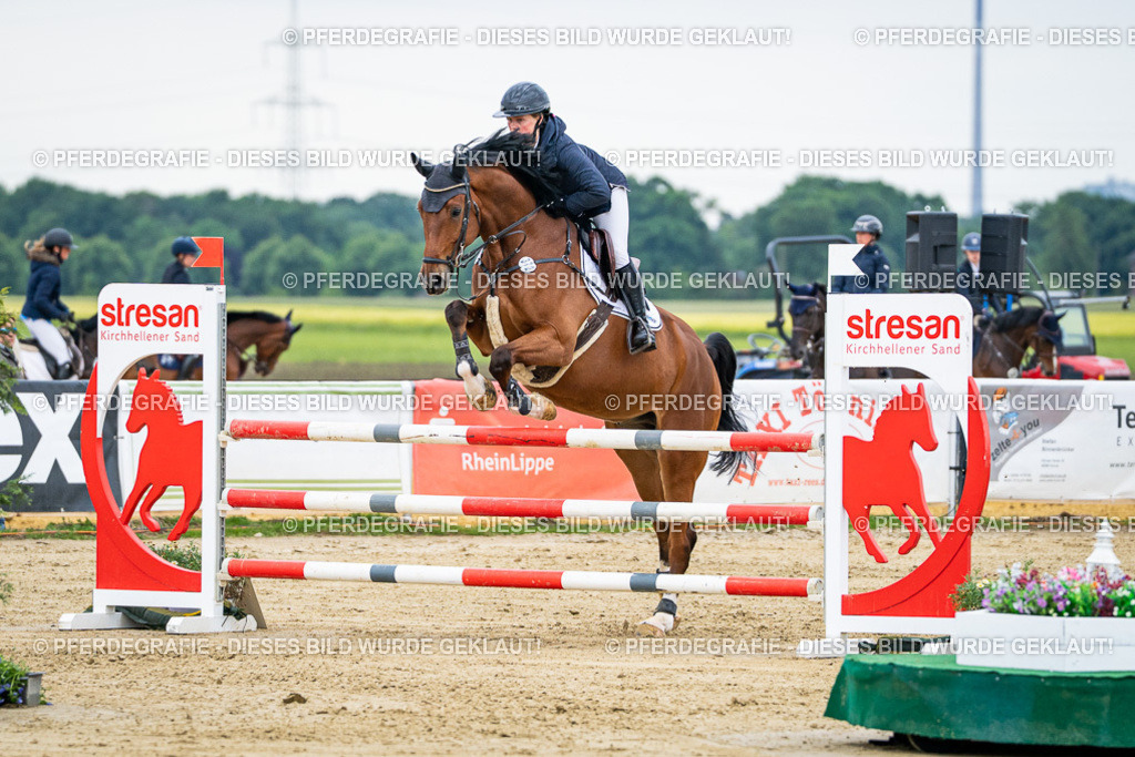 DSC05786 | Pferdegrafie