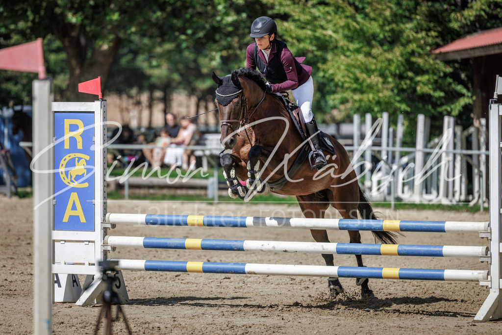 20260905-_3LI8996 | Tierfotografie Pferde, Hunde, Katzen, Haustiere.
Turnierfotografie Reitturniere, Reiten, Springreiten, Dressur in Hanau, dem Main-Kinzig-Kreis und dem Rhein-Main- Gebiet um Frankfurt