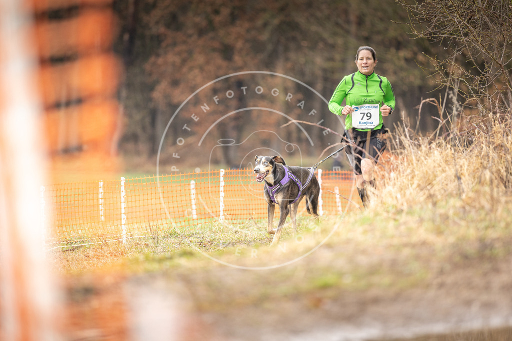 DV3A0308 | Hundefotografie, Tierfotograf, Pfotenfotografie, Fotoshooting Hund, Hunde Portrait, Hundesport, Hundeportraits, Heideshooting, Hunde, Sportfotograf, Hundefotograf, Turnierhundsport, THS,  - Realisiert mit Pictrs.com