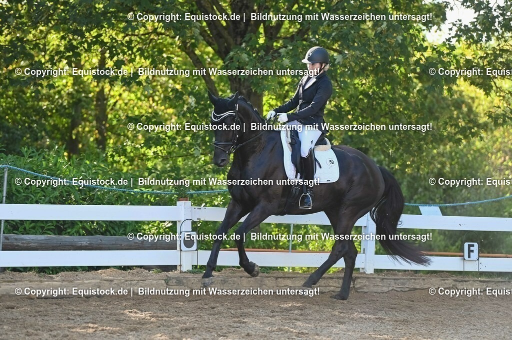 20230715_06_Dressurpferdeprfg. Kl.A_0101 | equistock