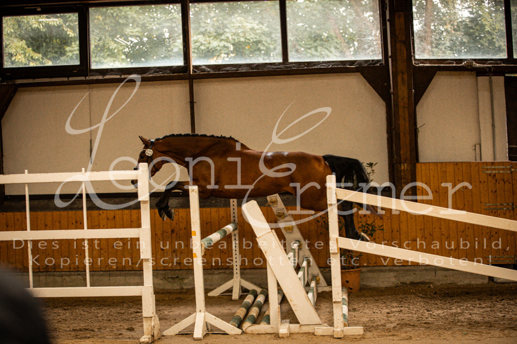 2FS_L00133 | Leoni Ertmer Photography - Realisiert mit Pictrs.com