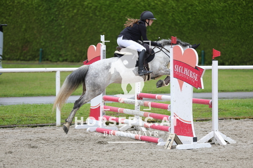 0P6A8553 | Willkommen bei Brunnmayr - Design & Fotografie – Ihrem Spezialisten für Reitturniere und Pferdeveranstaltungen in Oberösterreich, Salzburg und Bayern! Seit über 17 Jahren sind wir leidenschaftlich dabei.
