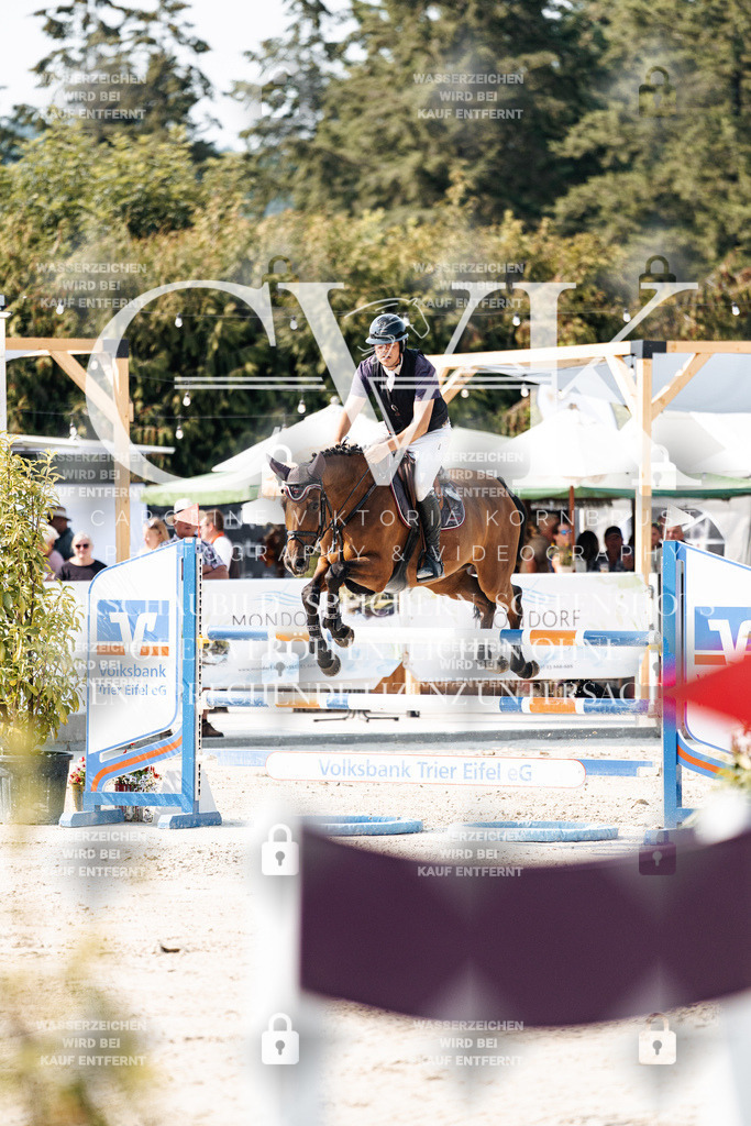 CK902325 | Turnierfotografie Pferdefotografie Trier Rheinland-Pfalz Pferdesport Reitsport Tierfotografie Sportfotografie Pferdevideo Pferdevideografie Equestrianvideography equestrianphotography  - Realisiert mit Pictrs.com