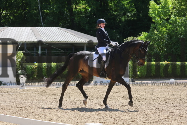 Böblingen_2025_Prfg.Nr.08_Dressurprüfung_Kl.M_Nürnberger Burgpokal_Nina Bäuerle_Faithful Hope (7) | Alle Fotos der Reiterjournal Fotografin Doris Matthaes im Reiterjournal Online-Fotoshop. - Realisiert mit Pictrs.com