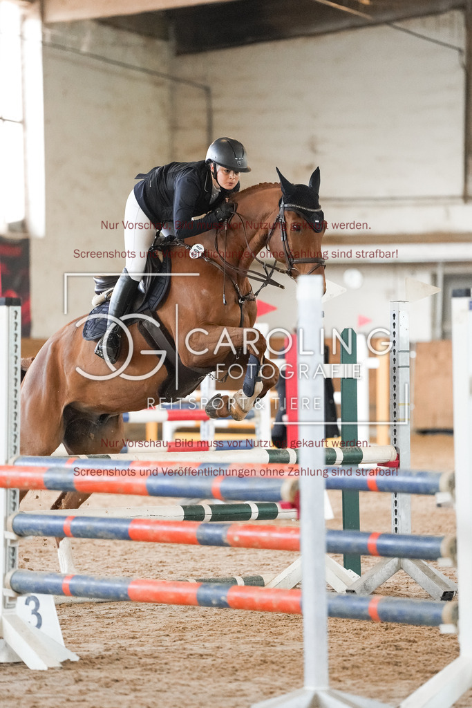 DSC09810 | Reitturnier_Göppingen_April_2026, Anna_Marlin_Stollwerck, Sheamus_HR