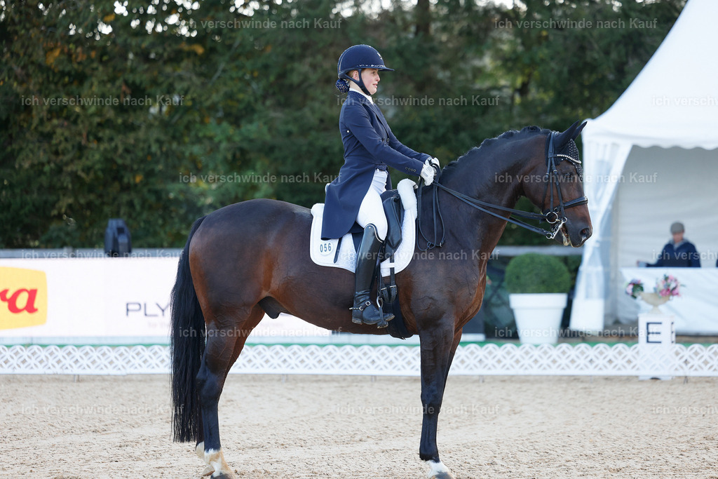 09_1-056-DRESSUR  S_  -StoibPH-5443 | working equitationturnier fotograf videograf stoibphotography marixx film working equitation deutschland reitsport turnierfotografie eventfotografie equestrian events