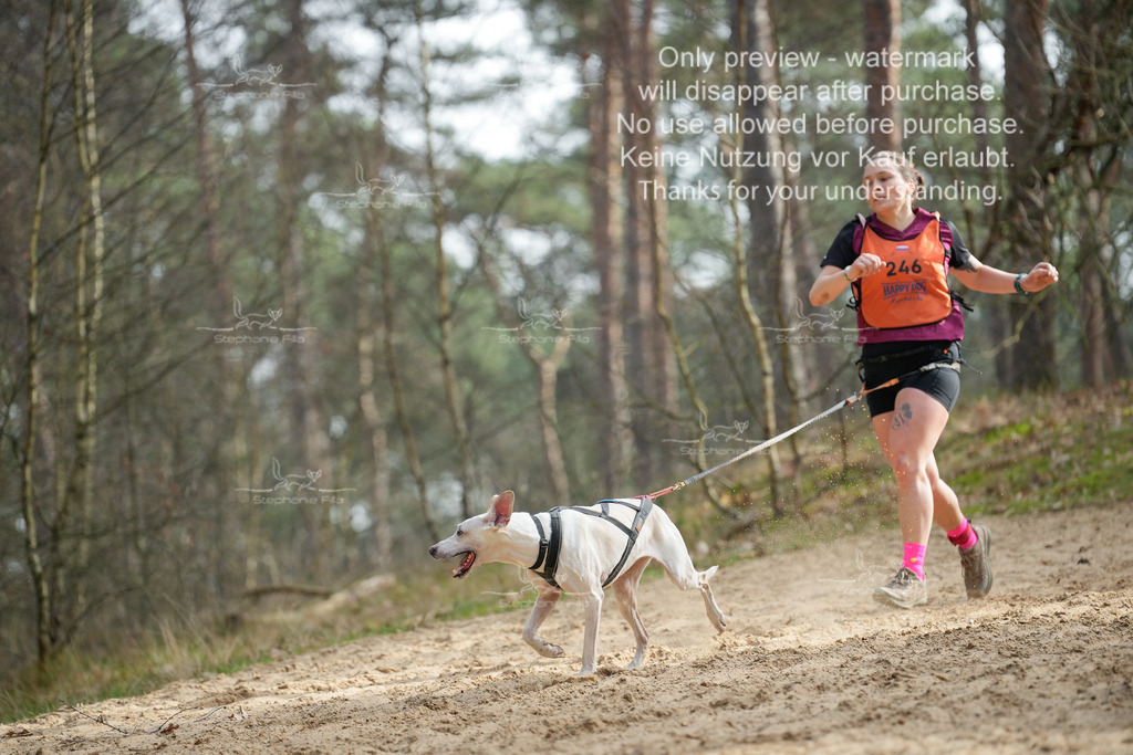 LangeCross-171 | stephaniefillaphotographie - Realisiert mit Pictrs.com