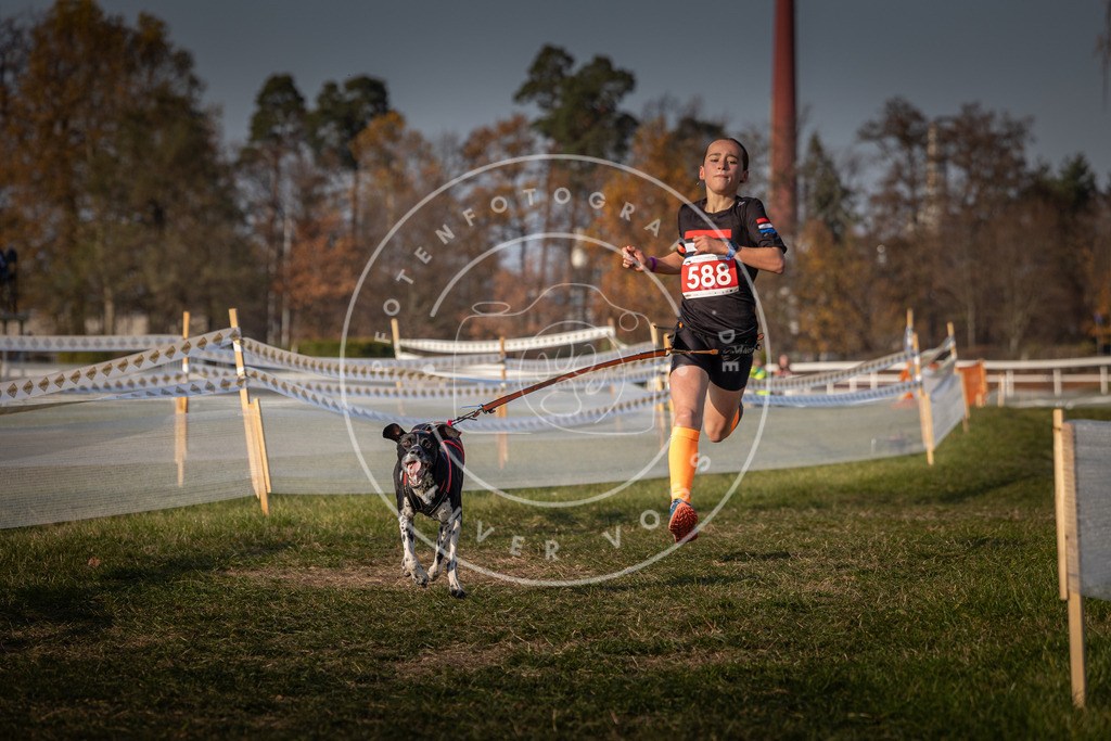CaniXpix_0L8A9732 | Hundefotografie, Tierfotograf, Pfotenfotografie, Fotoshooting Hund, Hunde Portrait, Hundesport, Hundeportraits, Heideshooting, Hunde, Sportfotograf, Hundefotograf, Turnierhundsport, THS,  - Realisiert mit Pictrs.com