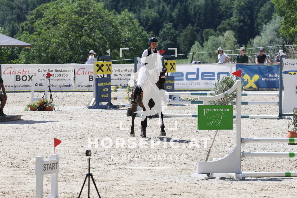 PP017524 | Willkommen bei Brunnmayr - Design & Fotografie – Ihrem Spezialisten für Reitturniere und Pferdeveranstaltungen in Oberösterreich, Salzburg und Bayern! Seit über 17 Jahren sind wir leidenschaftlich dabei.