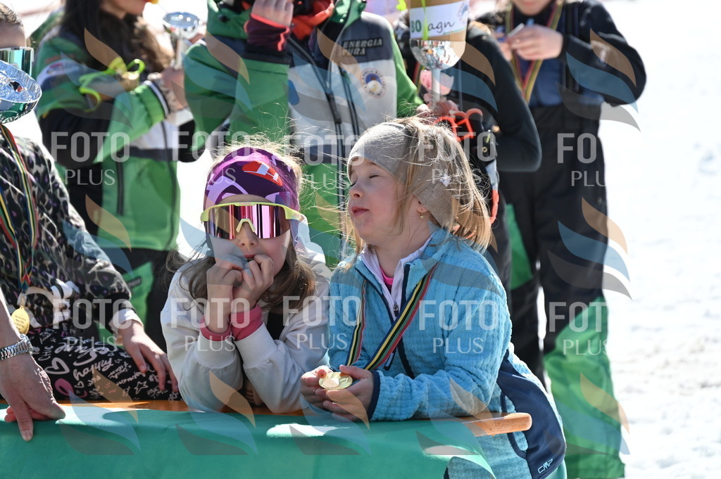 C7393 | holidayphoto