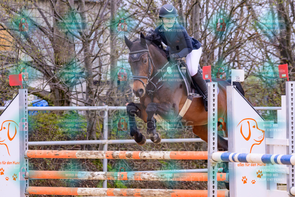 10042026-Mammendorf-Prfg17-0690 | Fokus Hufschlag Fotografie - Realisiert mit Pictrs.com