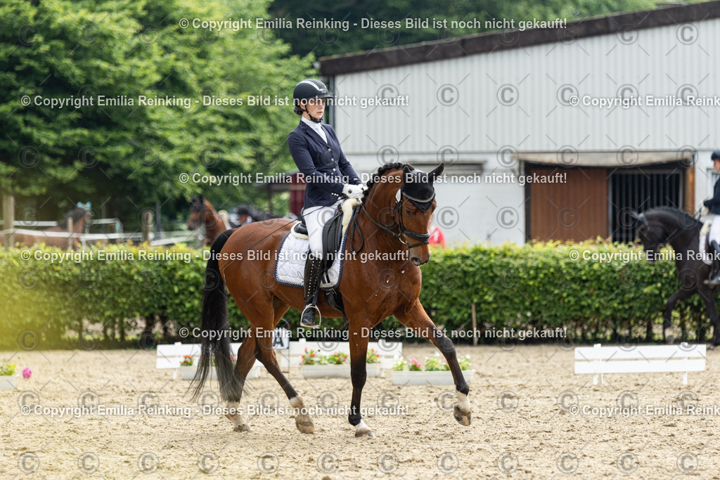 CL5A4741 | Emilia Reinking Fotografie - Realisiert mit Pictrs.com