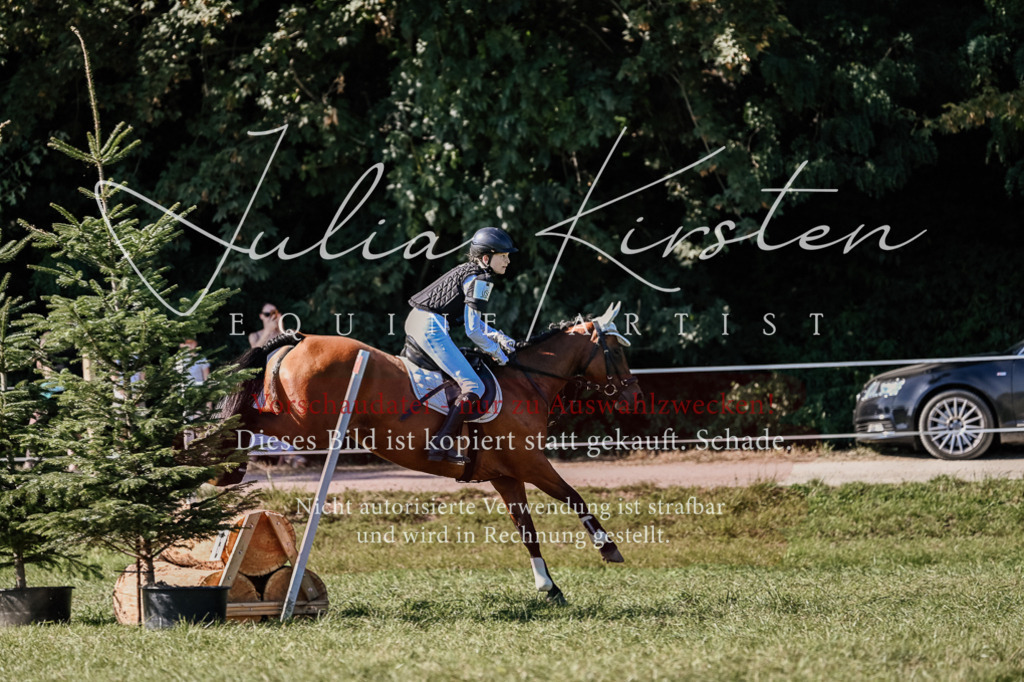 DSC_3459 | Pferde- und Turnierfotografie in Westsachsen. Pferdeportraits, Auftragszeichnungen und intuitive Kunst.