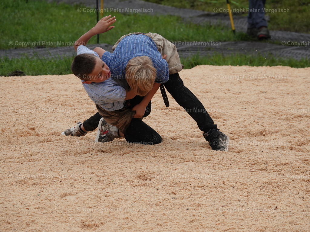 DSC07859 | Schwingen - Realisiert mit Pictrs.com