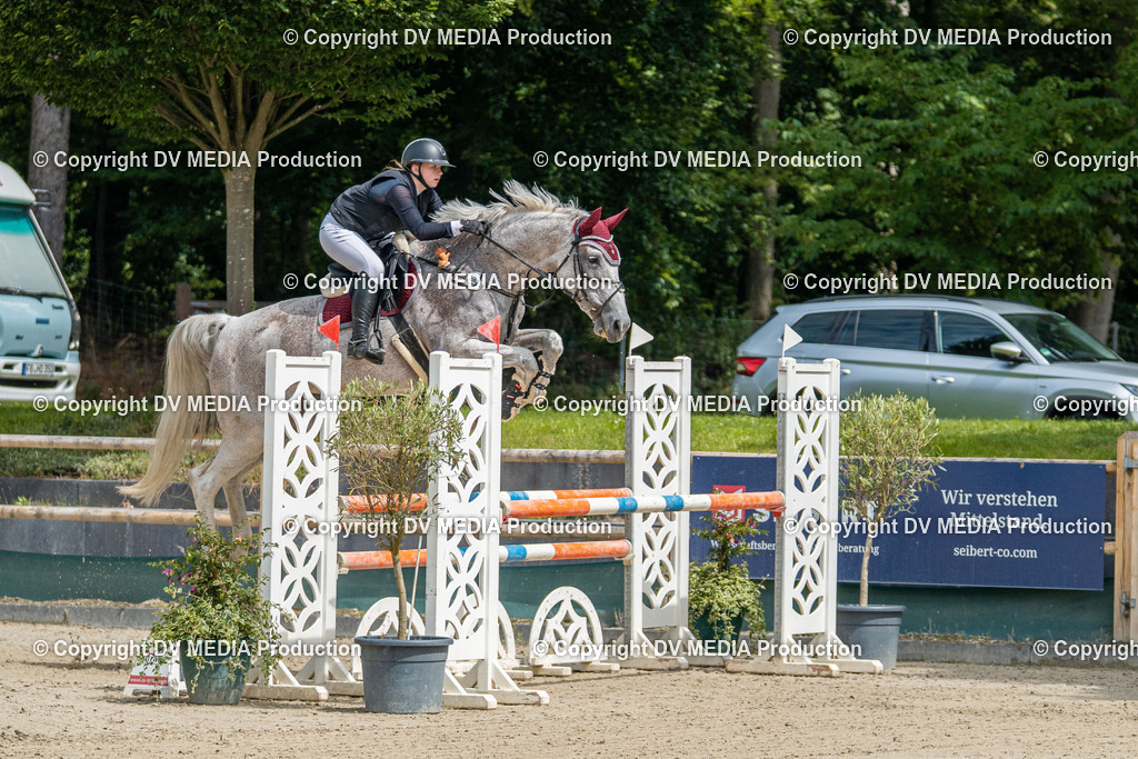 Hessische Tag 3-167 | dv-media-shop - Realisiert mit Pictrs.com