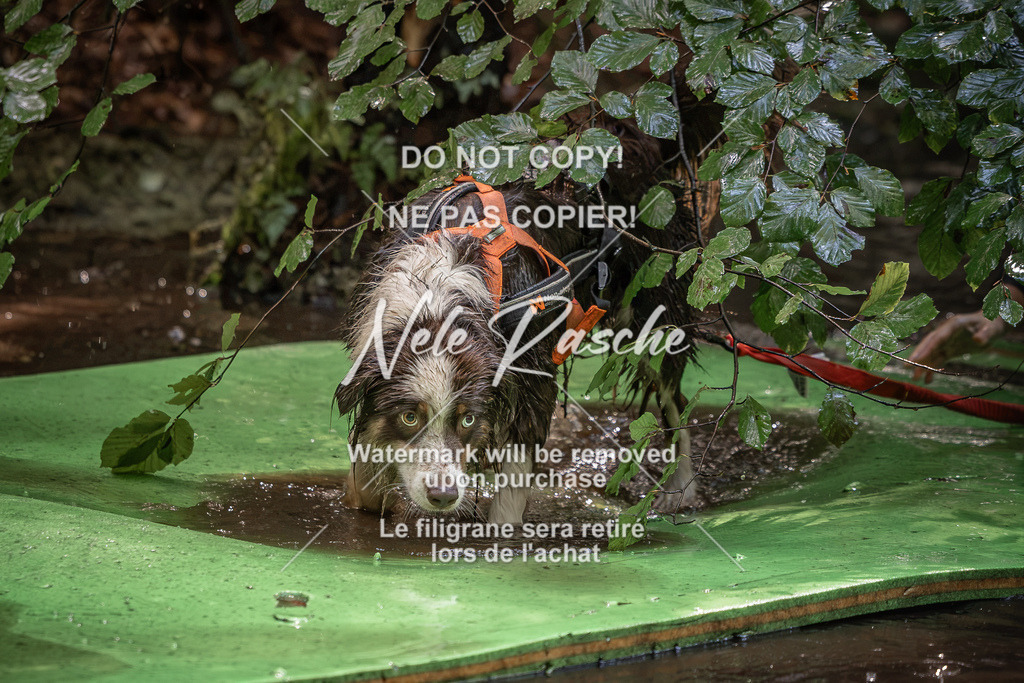 nelerasche_Wingst_Sa1330-1400_220 | nelerasche