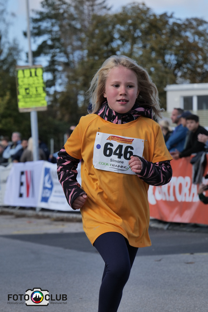 P1039266 | Foto Buchgraber