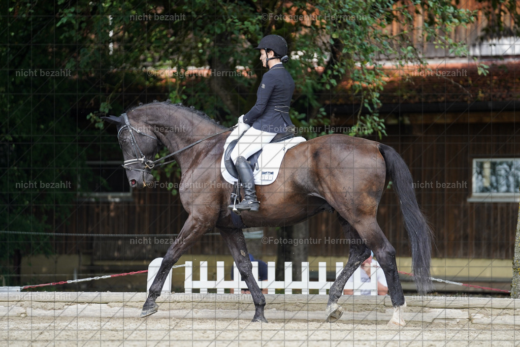 20230826-FAH05429 | Forstinning, 2023, Dressurturnier, Turniersportbilder, Turnierfotografen Bayern, Fotoagentur Herrmann, Reitsportfotografie, Turnierbilder