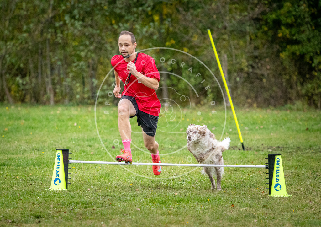 Pfotenfotografie_DV3A1348 | Hundefotografie, Tierfotograf, Pfotenfotografie, Fotoshooting Hund, Hunde Portrait, Hundesport, Hundeportraits, Heideshooting, Hunde, Sportfotograf, Hundefotograf, Turnierhundsport, THS,  - Realisiert mit Pictrs.com