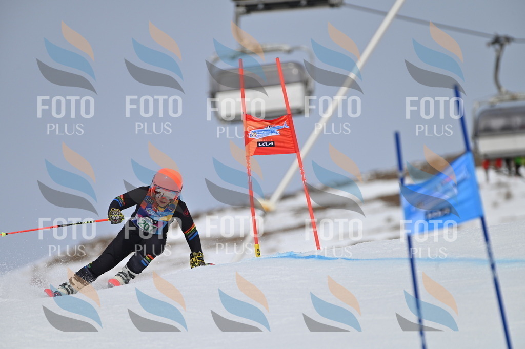 BGV_3993 | holidayphoto