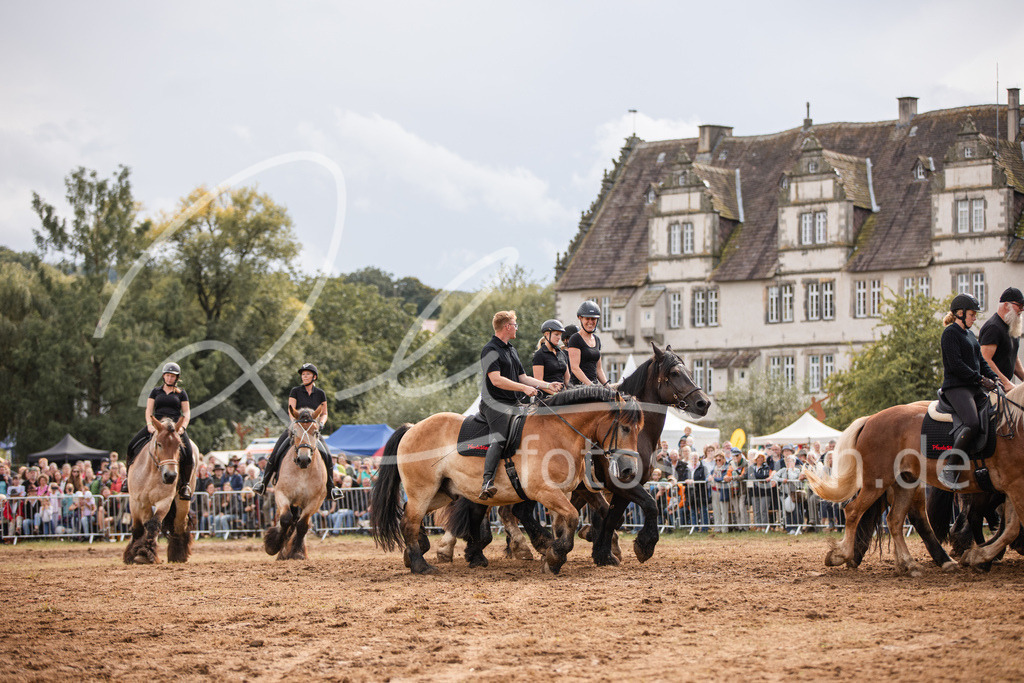 846A4015 | fotosleben - Realisiert mit Pictrs.com