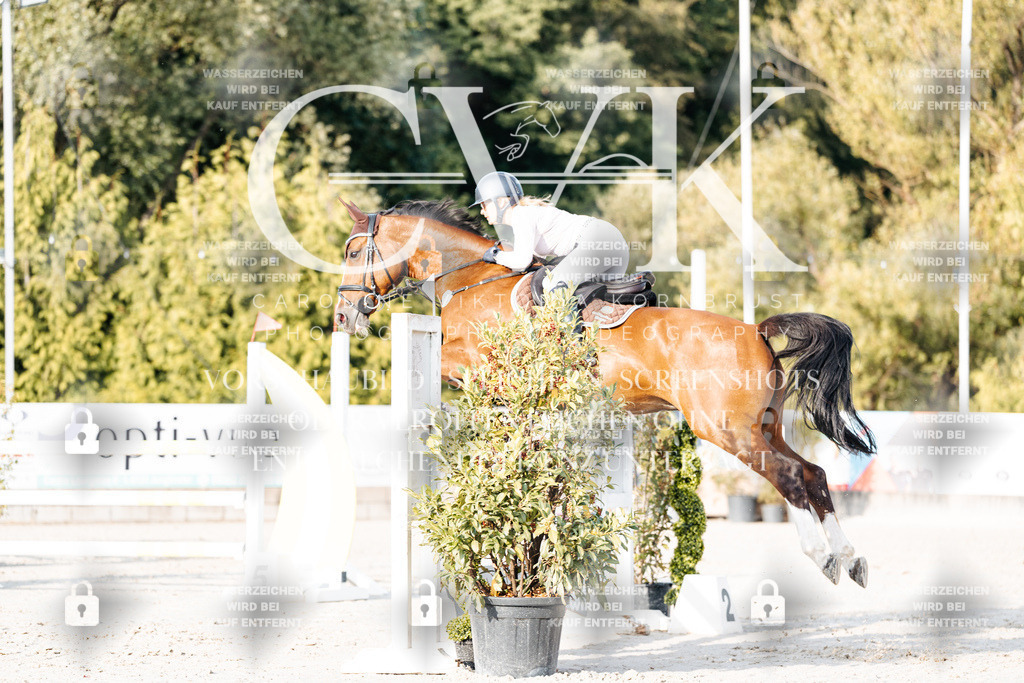 CK903312 | Turnierfotografie Pferdefotografie Trier Rheinland-Pfalz Pferdesport Reitsport Tierfotografie Sportfotografie Pferdevideo Pferdevideografie Equestrianvideography equestrianphotography  - Realisiert mit Pictrs.com